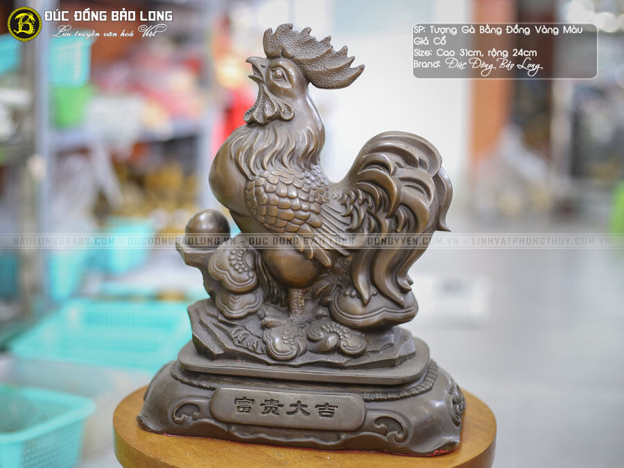 Khám Phá Thế Giới Đầy Màu Sắc Của Gà Lông Tượng - Chăm Sóc và Nuôi Dưỡng