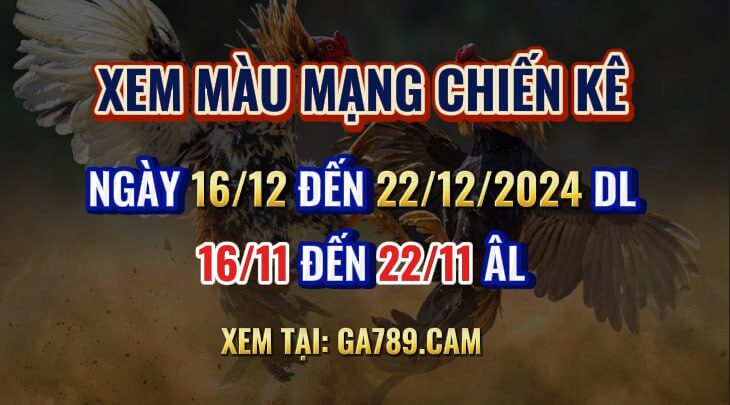 Xem Màu Mạng Đá Gà - Khám Phá Ý Nghĩa và Cách Thức Chọn Lựa Hiệu Quả